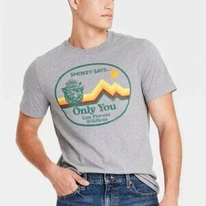 Smokey the Bear Men's Short Sleeve Graphic T-Shirt - Goodfellow & Co Gray Sz Sm